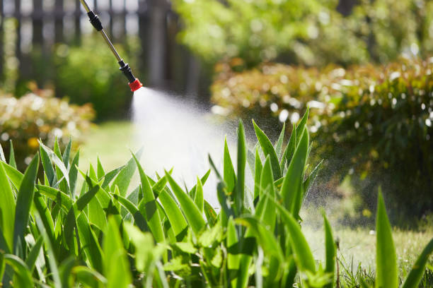 Tamper-Resistant Bait Stations for Rodents in Grant