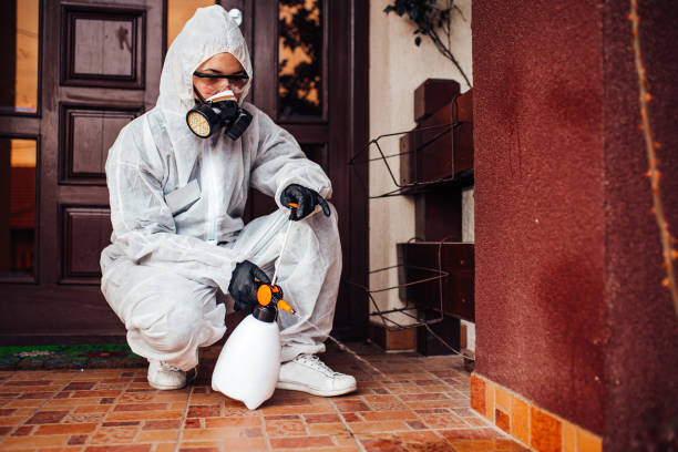 Attic and Crawl Space Rodent Treatment in Grant
