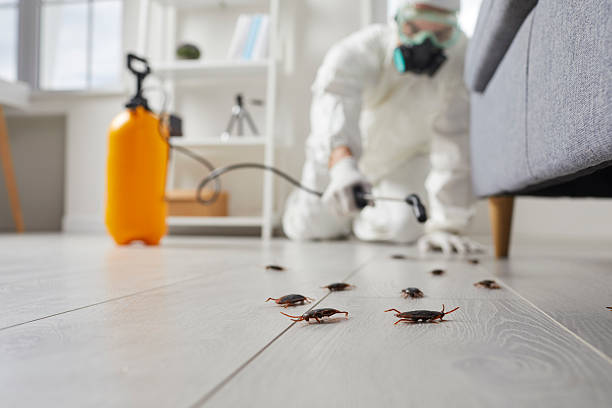 Commercial Rodent Management in Grant